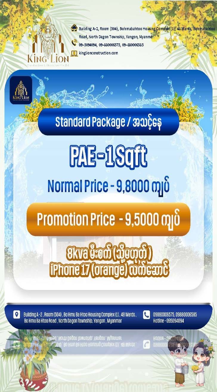 King Lion PAE Promotion Package Standard